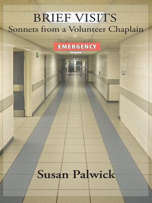 cover image of Brief Visits